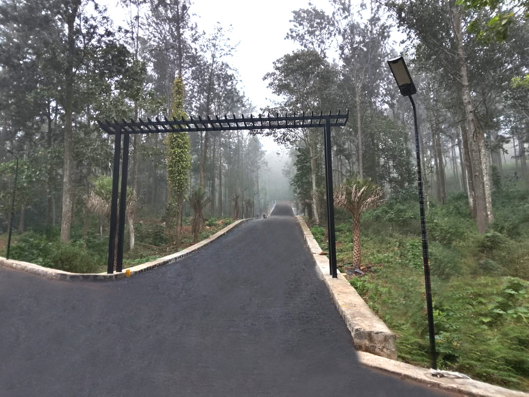 Site image 13