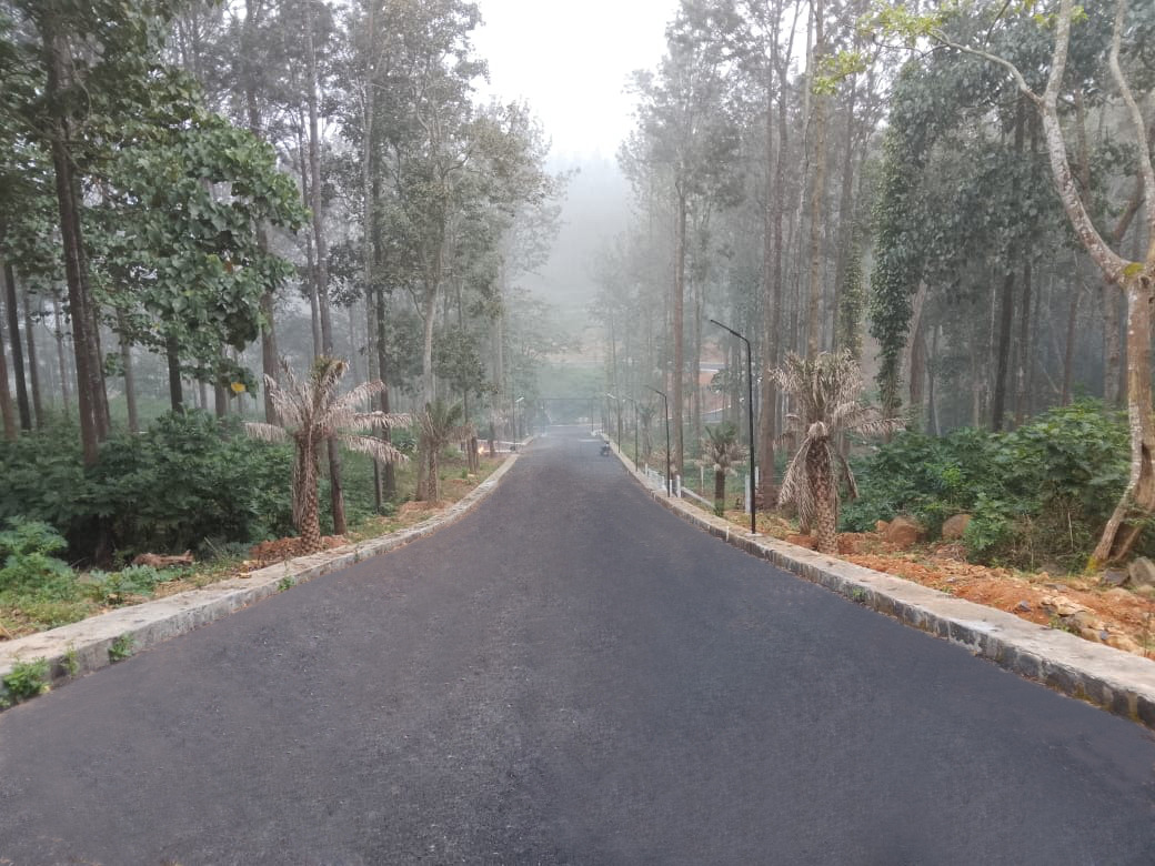 Site image 1